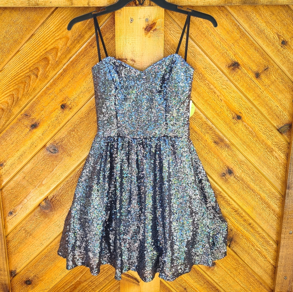 NWTs Windsor Strapless Sweetheart Charcoal Solid Sequin Dress